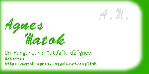 agnes matok business card